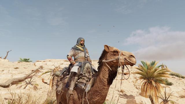 Basim riding on Fajr, a camel.