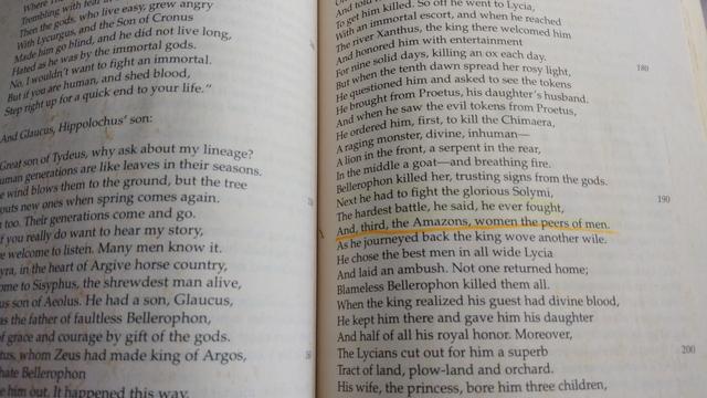 A passage from the translation by Lombardo. The passage in question:
"The hardest battle, he said, he ever fought,
And, third, the Amazons, women the peers of men."