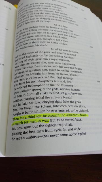 The same passage, translated by Fagles: "Then for a third test he brought the Amazons down, a match for men in war."