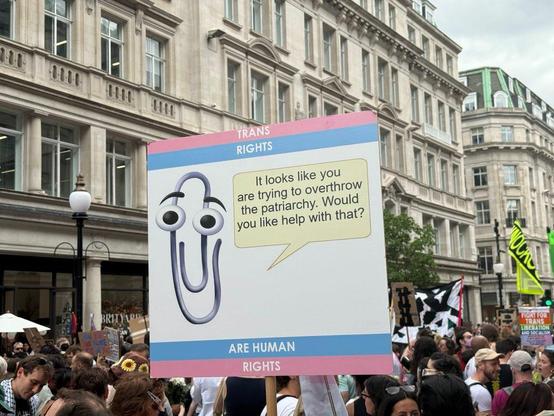 A sign, with trans flag colours background, and a huge Clippy, saying “it looks like you are trying to overthrow the patriarchy. would you like help with that?” And surrounded by headings “trans rights are human rights”