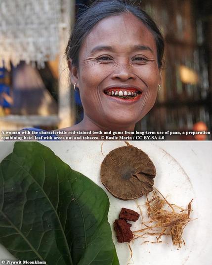 4,000-year-old teeth reveal earliest evidence of betel nut chewing in Southeast Asia
 
A recent study uncovered the oldest direct biochemical evidence of betel nut chewing in Southeast Asia, dating back 4,000 years. Researchers used advanced chemical analysis on ancient dental plaque to detect traces of the psychoactive plant, gaining new insight into the cultural practices of early Thai societies.

The discovery was made at the Bronze Age burial site of Nong Ratchawat in central Thailand, where 156 human burials have been excavated since 2003. Researchers analyzed 36 samples of dental calculus—mineralized plaque—from six individuals. Using liquid chromatography-mass spectrometry (LC-MS), they detected compounds of betel nut in the molars of one individual, a young woman known as Burial 11...