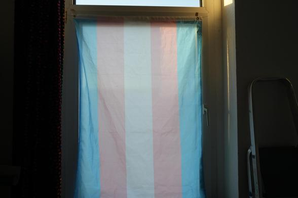 Eine um 90° gedrehte Trans-PrideFlag vor einem Fenster. Daneben sind ein Vorhang mit Bunten Pfötchen und eine Leiter zu sehen.