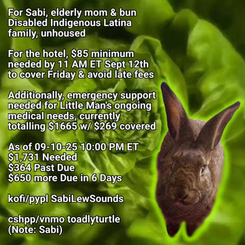 For Sabi, elderly mom & ESA bun
Disabled Indigenous Latina family, unhoused

For the hotel, $85 minimum needed by 11 AM ET, Sept 12th, to cover Friday & avoid late fees

Additionally, emergency support needed for Little Man's ongoing medical needs, currently totalling $1665 w/ $269 covered

As of 09-10-25 10:00 PM ET
$1,731 Needed
$364 Past Due
$650 more Due in 6 Days

kofi/pypl SabiLewSounds
cshpp/vnmo toadlyturtle (Note: Sabi)