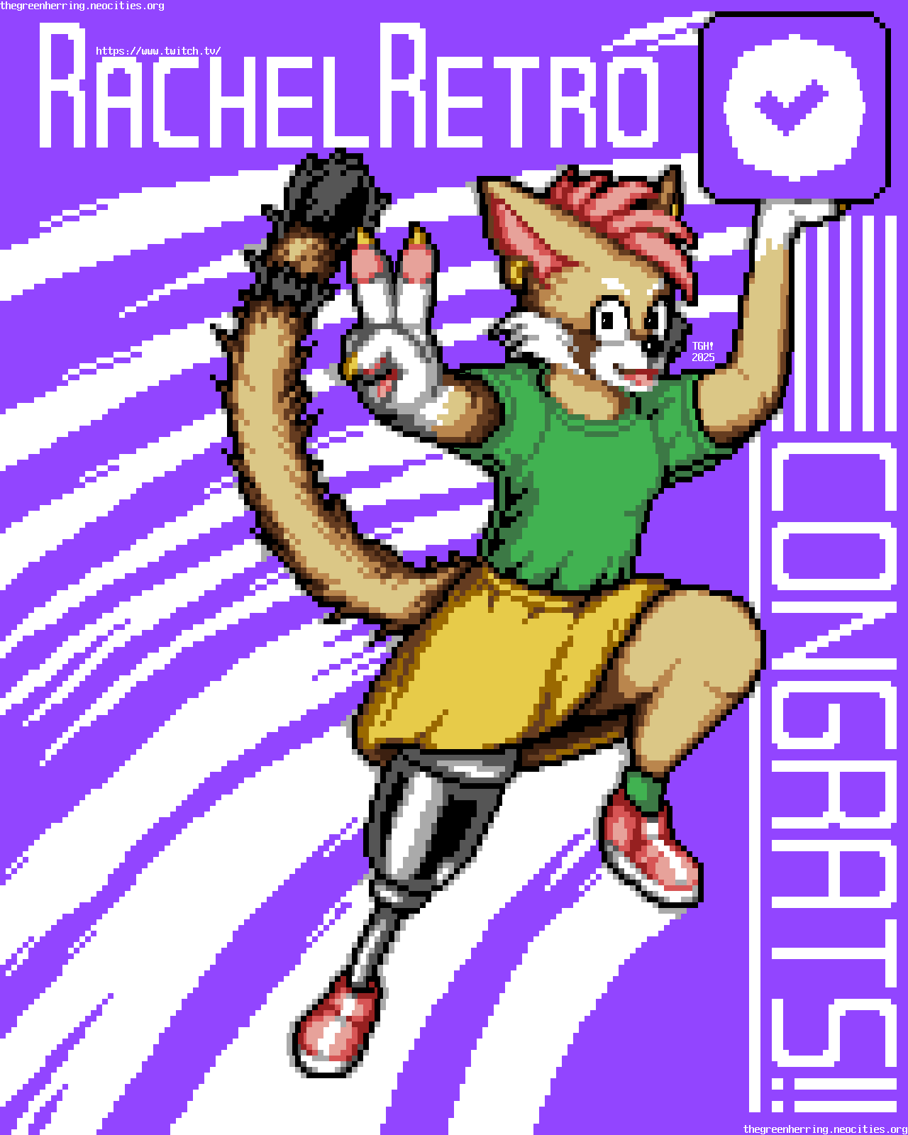 A cartoon fennec fox with a red panda tail and face markings and a prosthetic leg leaps through a deep purple plane with white trails behind her, holding the rounded-cornered box with the circled checkmark that is the Twitch Verified badge with one hand, and giving a peace sign with the other. She is wearing a pink mohawk, a green T-shirt, a yellow skirt, and pink sneakers with green socks. Nearby is the url "https://www.twitch.tv/RachelRetro", with "RachelRetro" printed in giant block letters, and the phrase "Congrats!!" printed in giant block letters and underlined.